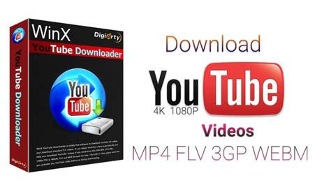 Winx youtube downloader review